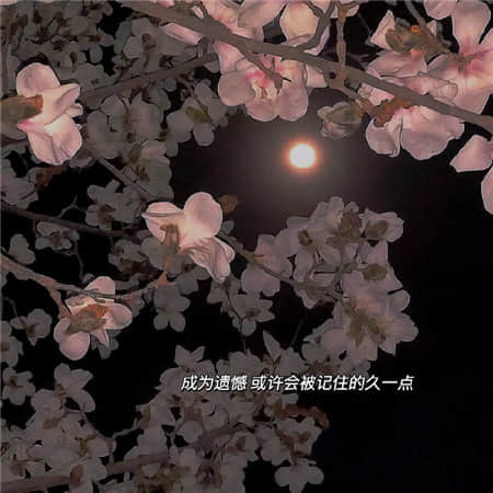 沉默的心情