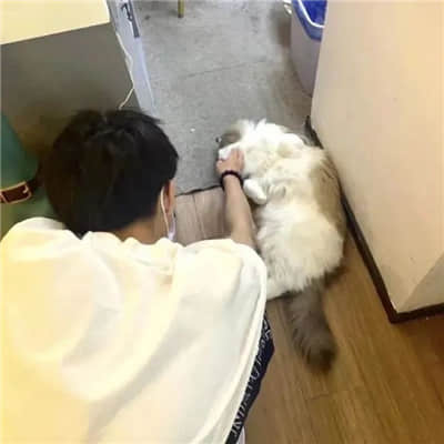 法师想要红