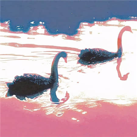 浮华一梦