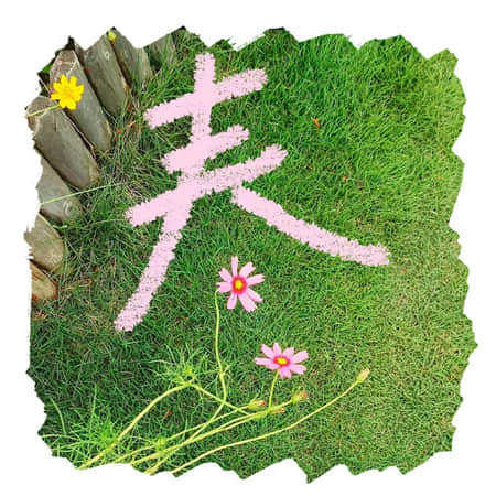 归舟沧海