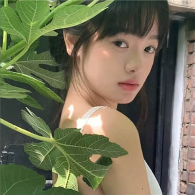 莲儿