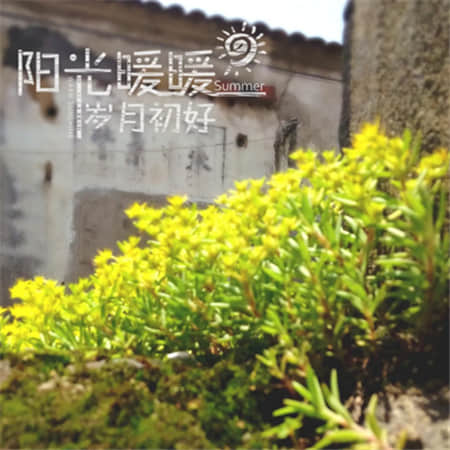 凉拌炒鸡蛋