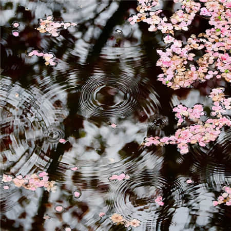 七情六欲