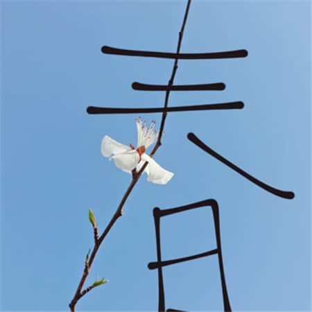 染指乜透明