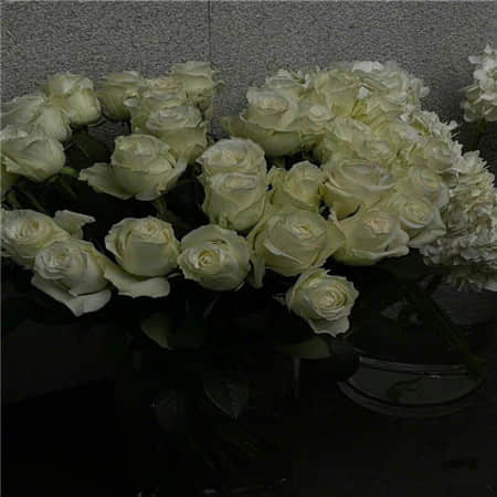 虚伪式幸福