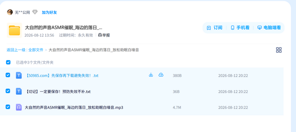 大自然的声音ASMR催眠_海边的落日_放松助眠白噪音 网盘目录截图