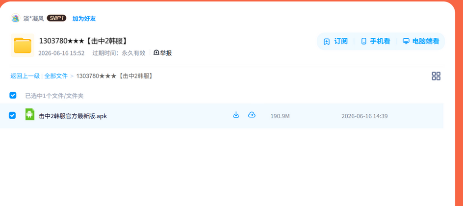 击中2韩服 网盘目录截图