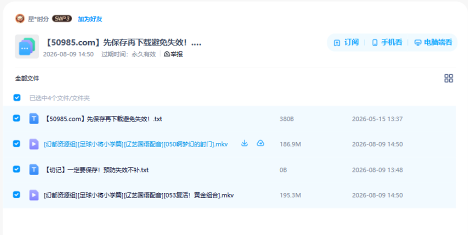 网盘目录截图