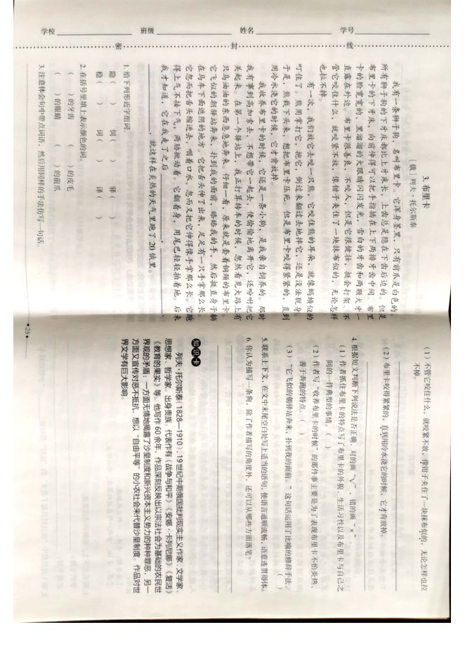内页样张