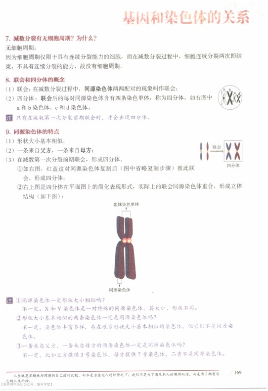 内页样张