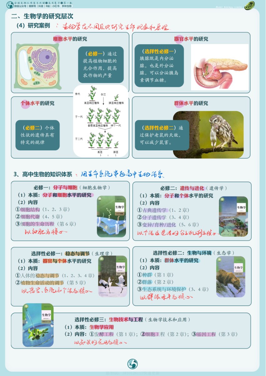 内页样张